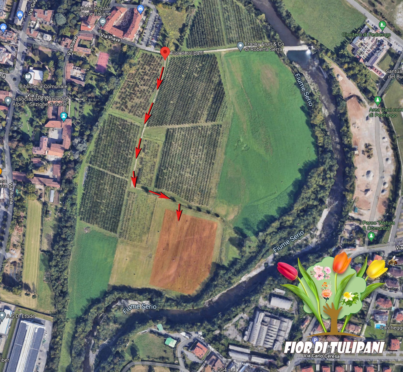 mappa_percorso Fior di tulipani - 42