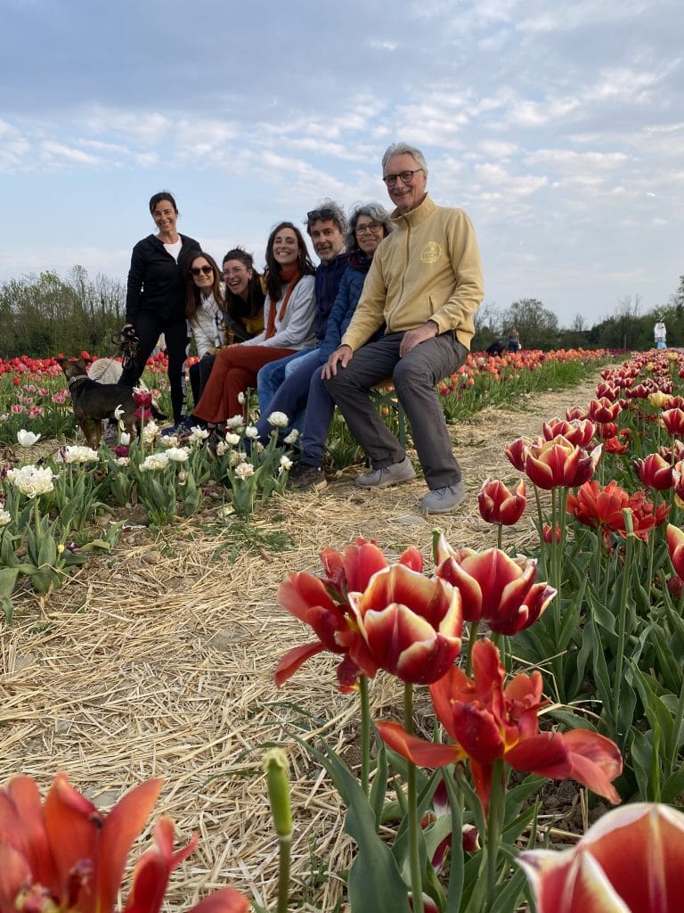 TULIPANI - AUTORACCOLTA 2025 TERMINATA